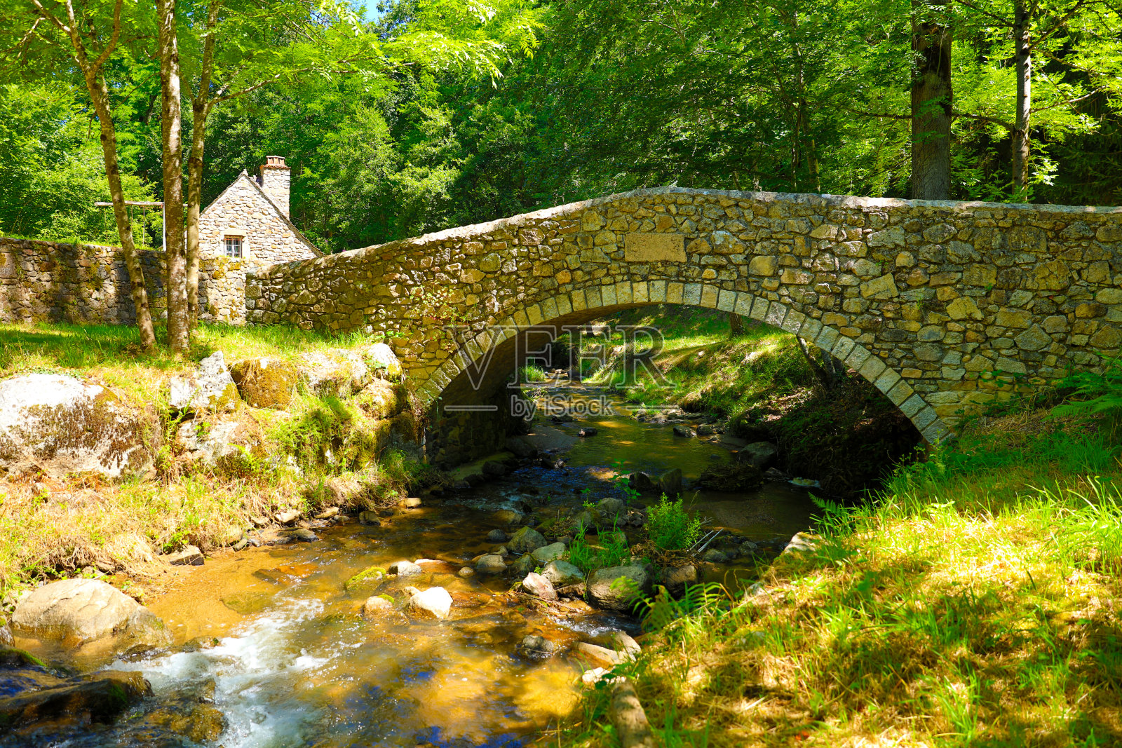 美丽的桥，河流和绿色的森林照片摄影图片