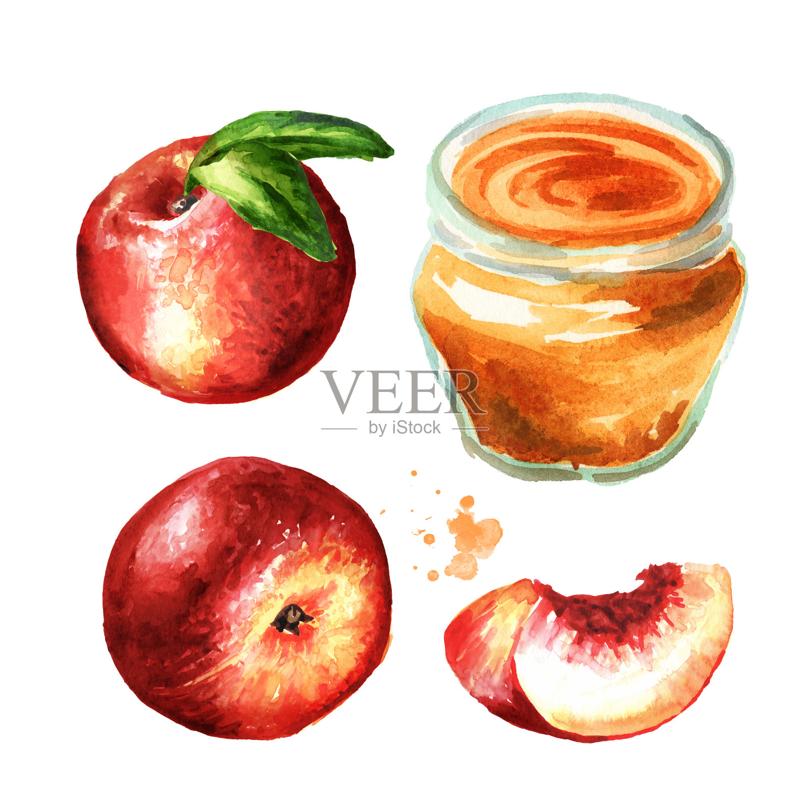 玻璃罐成熟的新鲜油桃，桃子果酱集。手绘水彩插图孤立的白色背景插画图片素材
