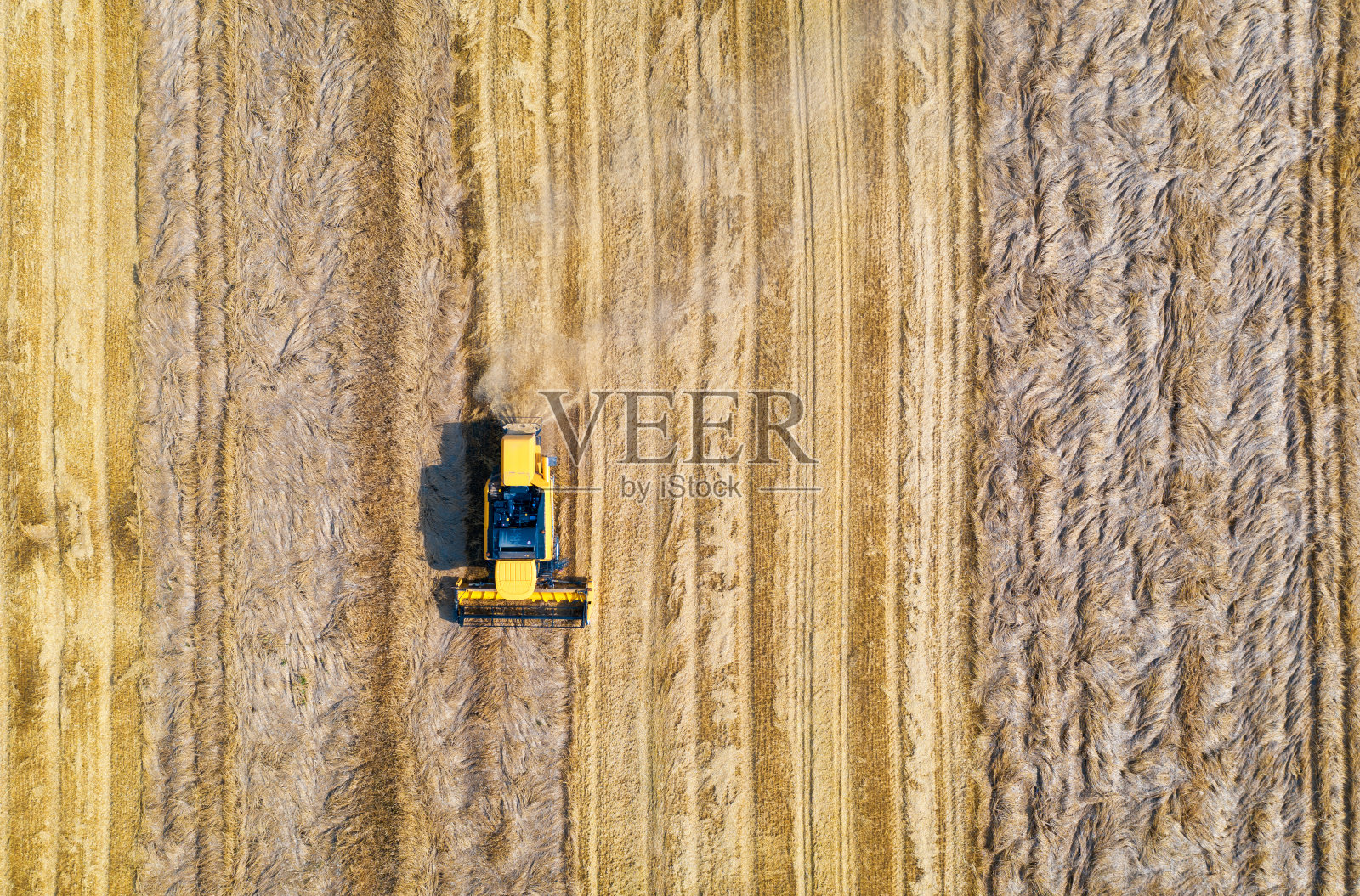 联合收割机在夏季日落收割小麦的鸟瞰图。农业。在黄色的麦田里，有一台收割机在工作。俯视图农业机械和成熟小麦照片摄影图片