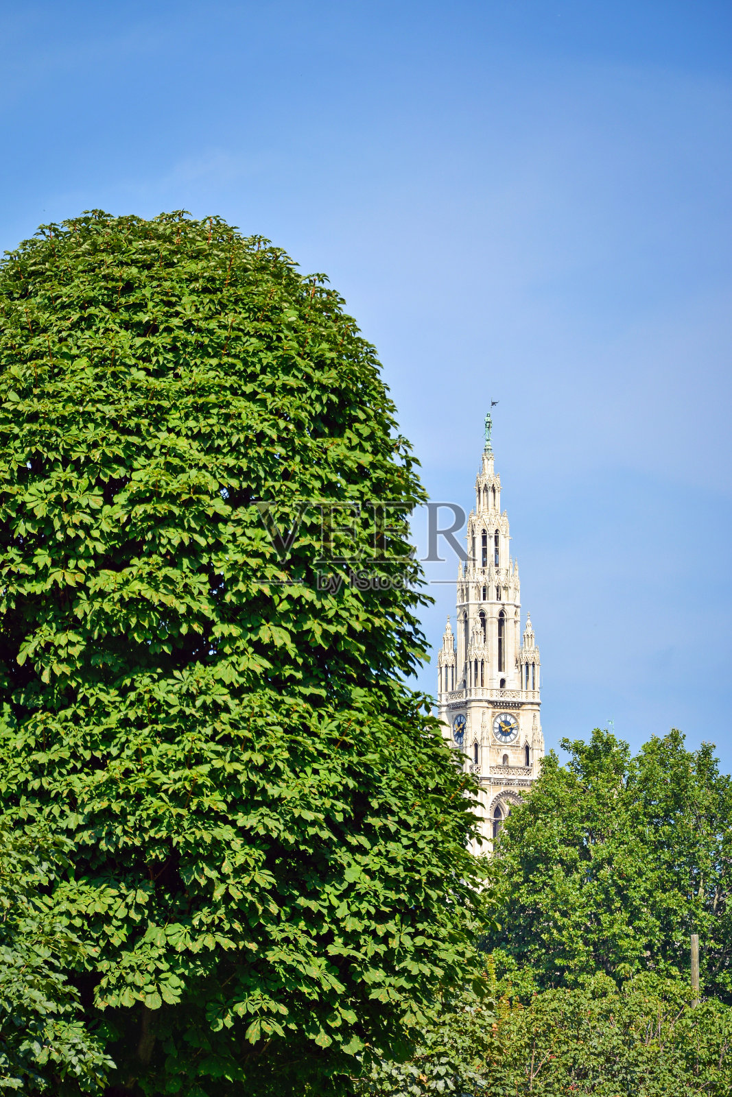 维也纳圣斯蒂芬大教堂的钟楼照片摄影图片