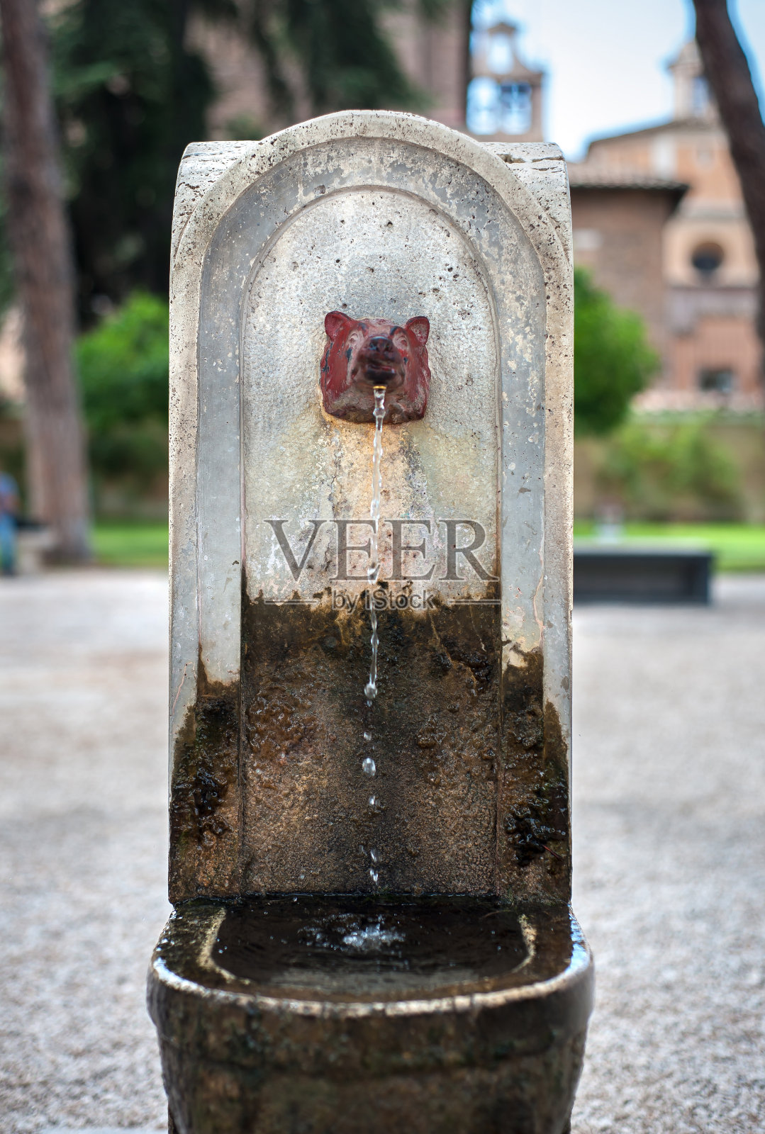 在罗马阿文丁山上的桔子树花园里，有一个狼头喷口的饮水喷泉照片摄影图片