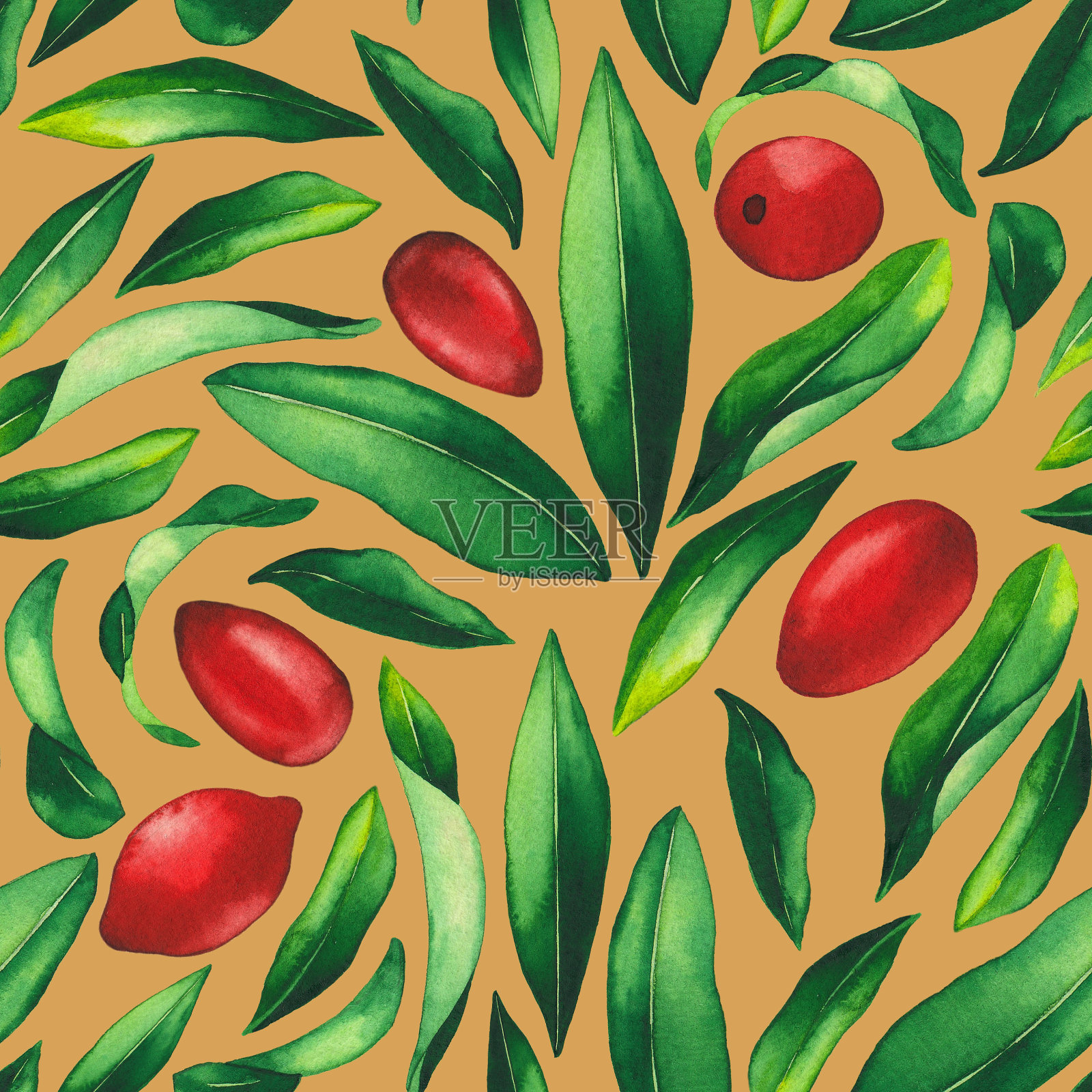 无缝图案的水彩枸杞浆果和叶子。插画图片素材