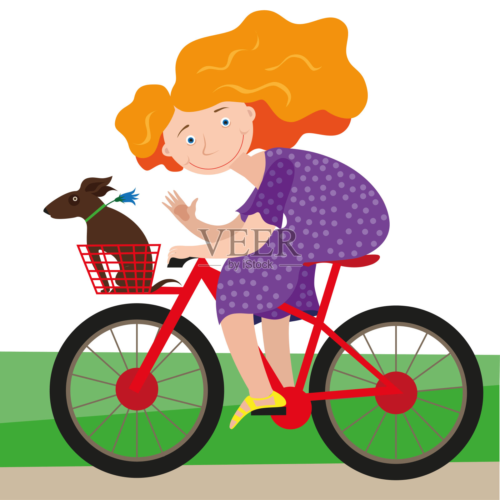 年轻女子骑着自行车，她的狗在自行车篮子里插画图片素材