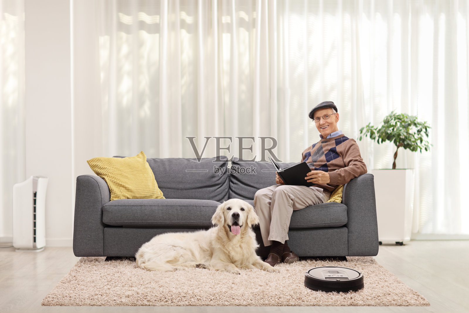 家里有一位老人和一只猎犬，还有一个机器人吸尘器在清洁地毯照片摄影图片