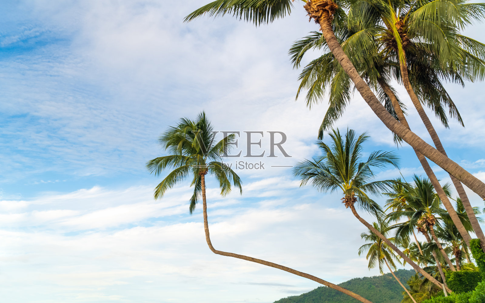 有椰子树的热带海滩。泰国苏梅岛照片摄影图片