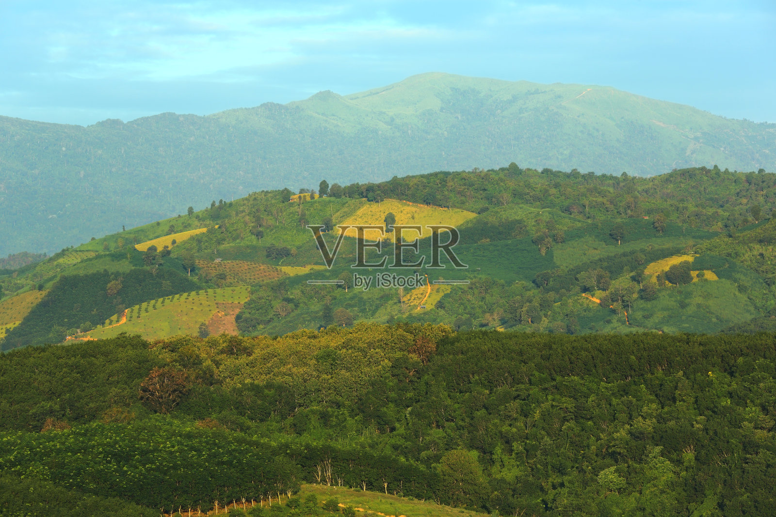 美丽的风景，上午在泰国南省的绿色山照片摄影图片