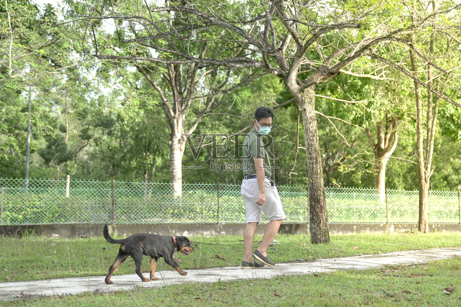 狗跟在戴面具的人后面在公园散步。流感流行期间与宠物狗进行户外活动。照片摄影图片
