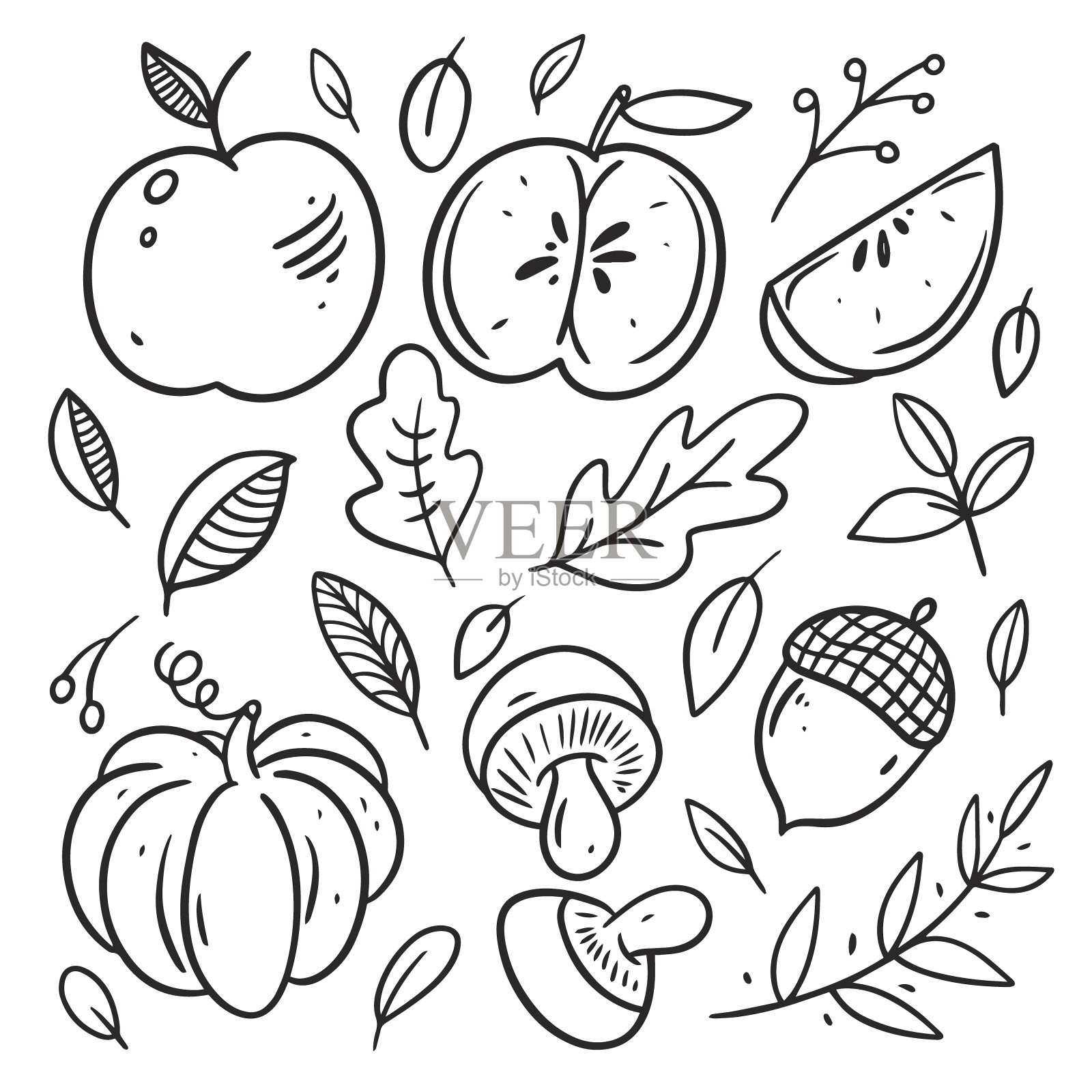 秋天的元素集。树叶、南瓜、苹果。黑色线条艺术。插画图片素材
