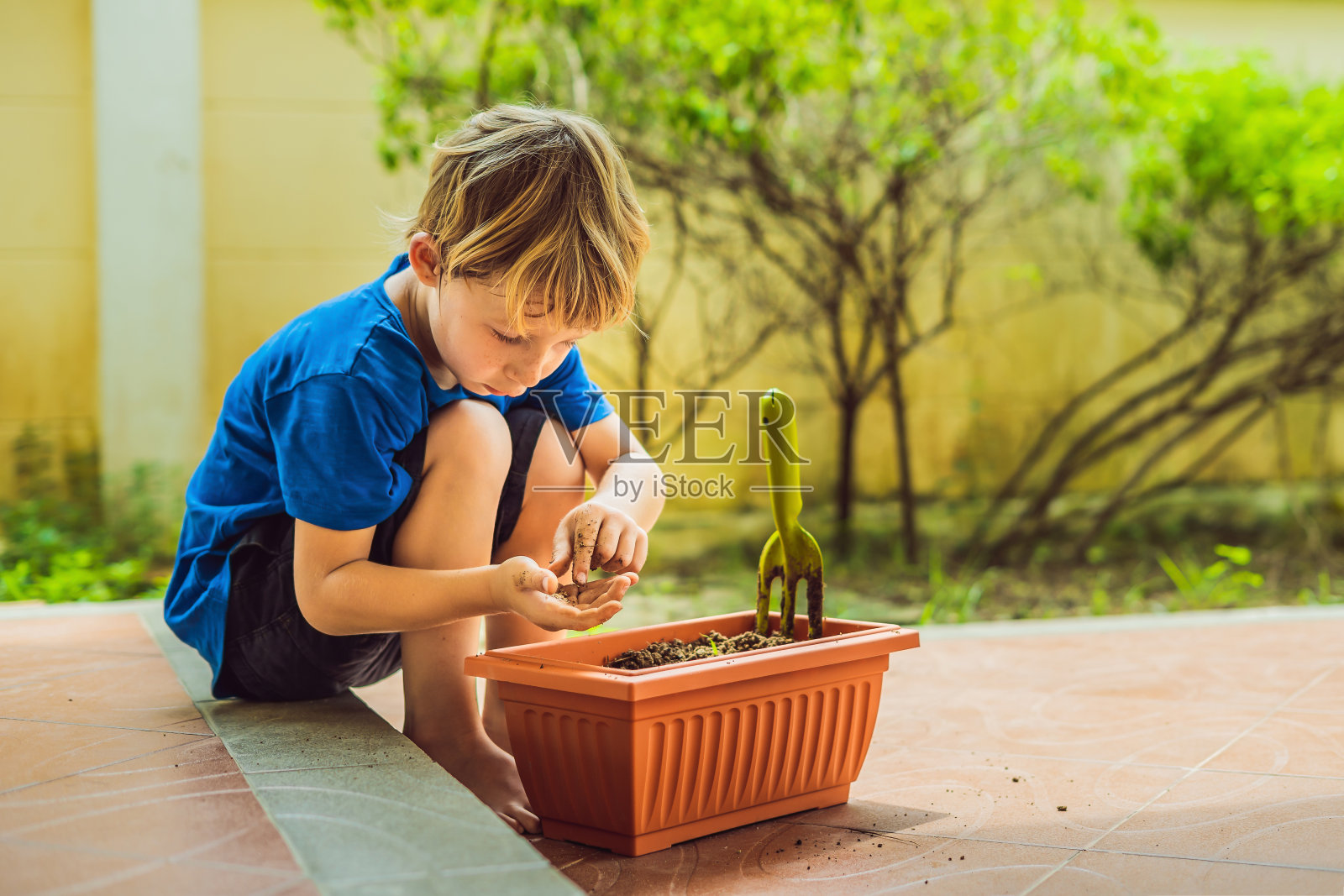 可爱的小男孩在花园里的花盆里播种照片摄影图片