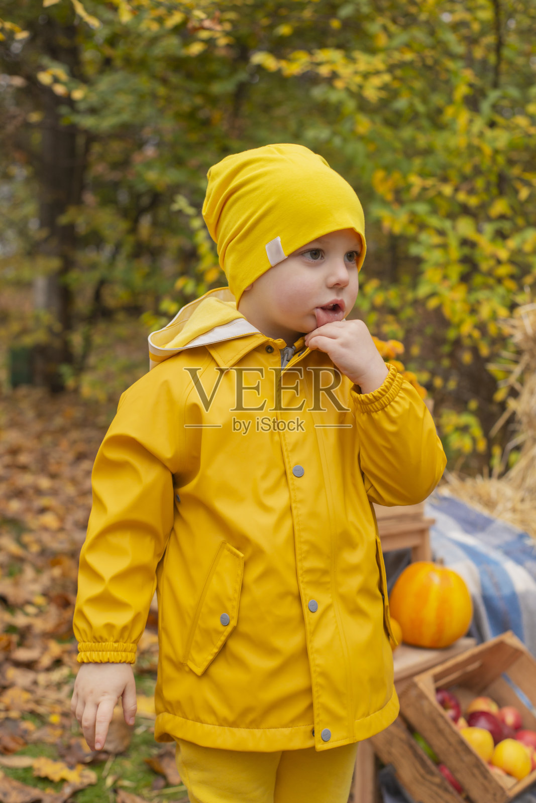 可爱漂亮的学龄前男孩穿着橙色的裤子，雨衣，帽子，橡胶靴子附近的照片区秋天的装饰品-南瓜，苹果，毯子，干草。舒适照片摄影图片