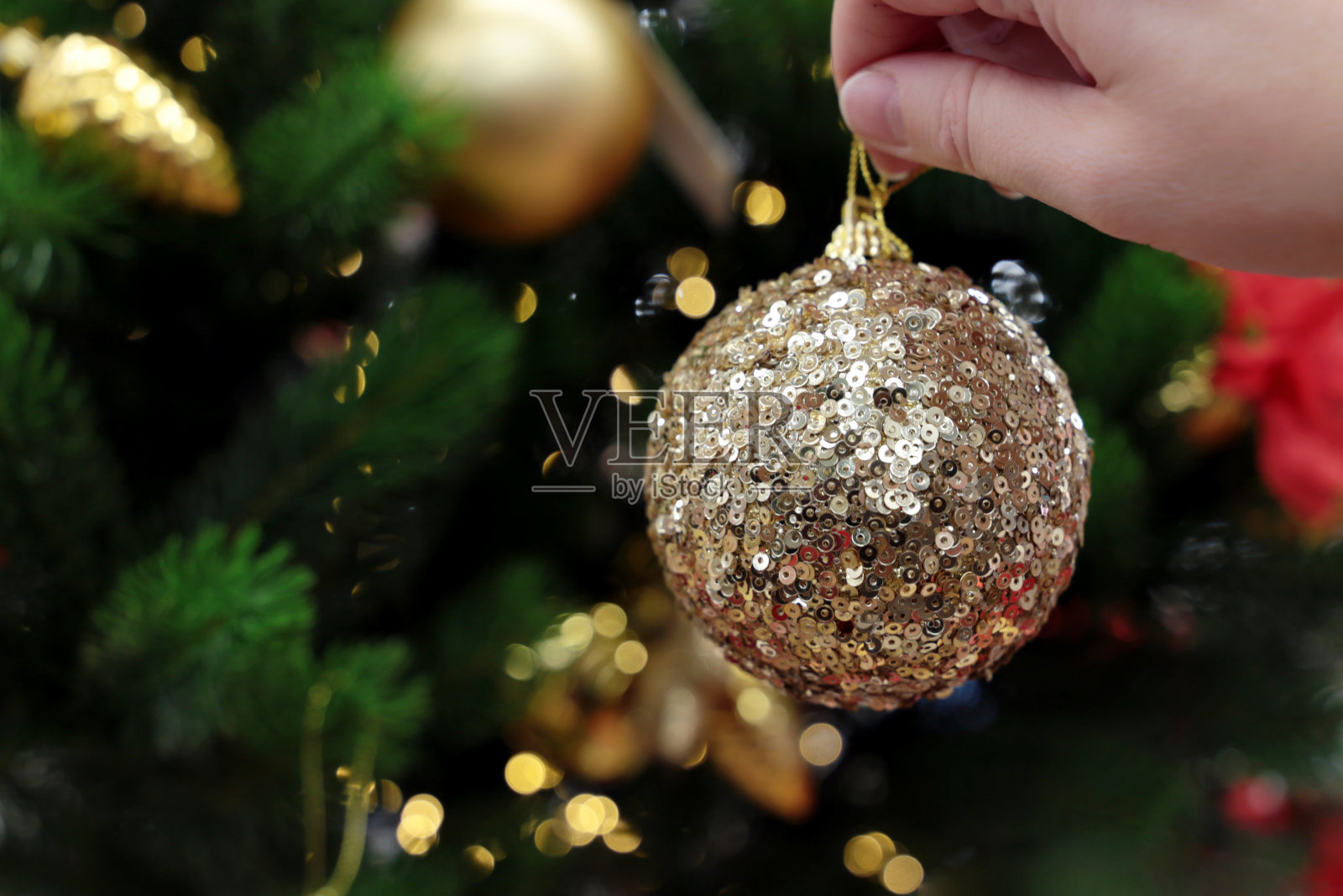 女孩装饰圣诞树，在杉木树枝和节日彩灯的背景下，用女性的手拿着金色的玩具球照片摄影图片