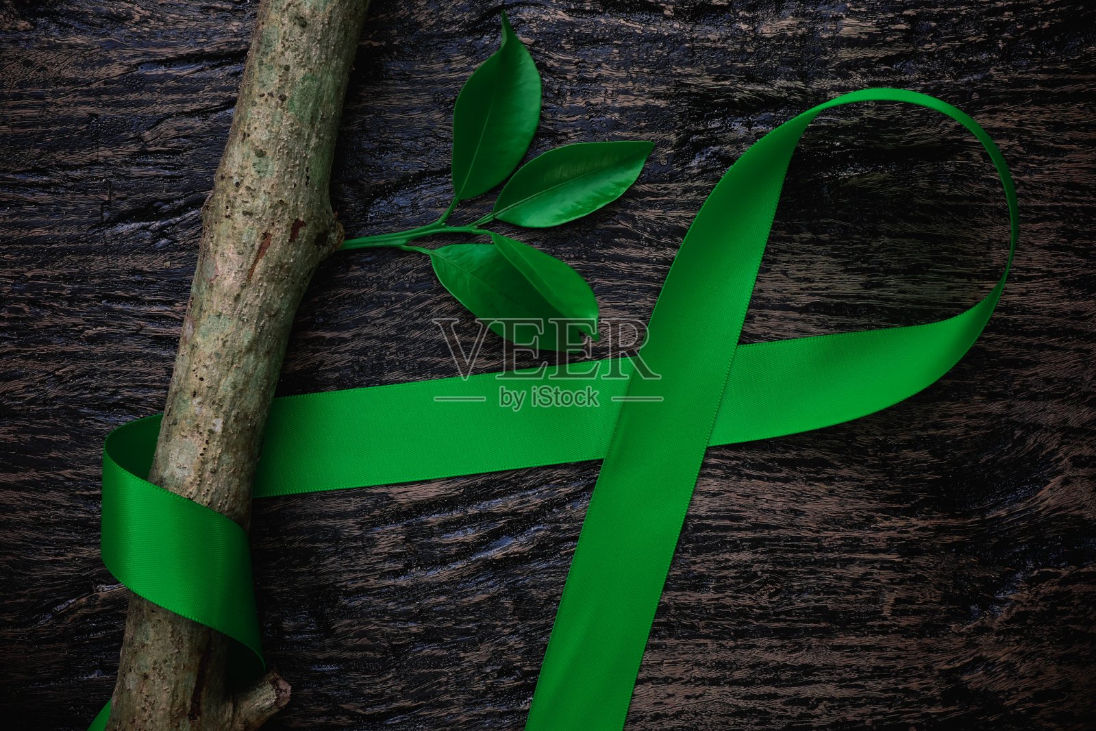 顶视图的绿色丝带与树叶在黑暗的背景。胆囊癌、心理健康、脑瘫意识、器官捐赠、世界肾脏日和环境保护。照片摄影图片