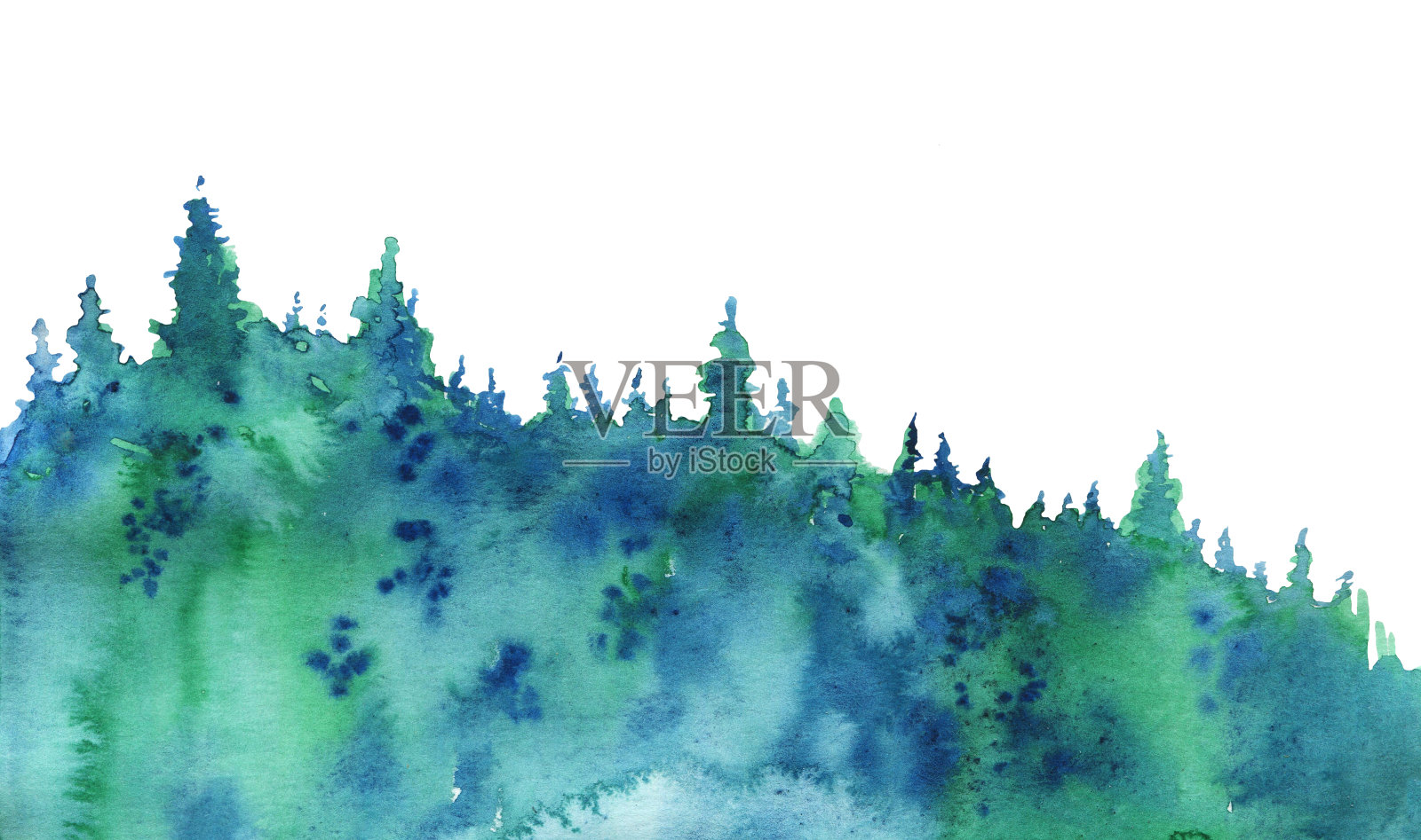 云杉森林。手绘水彩素描插图。在白色背景上隔离插画图片素材