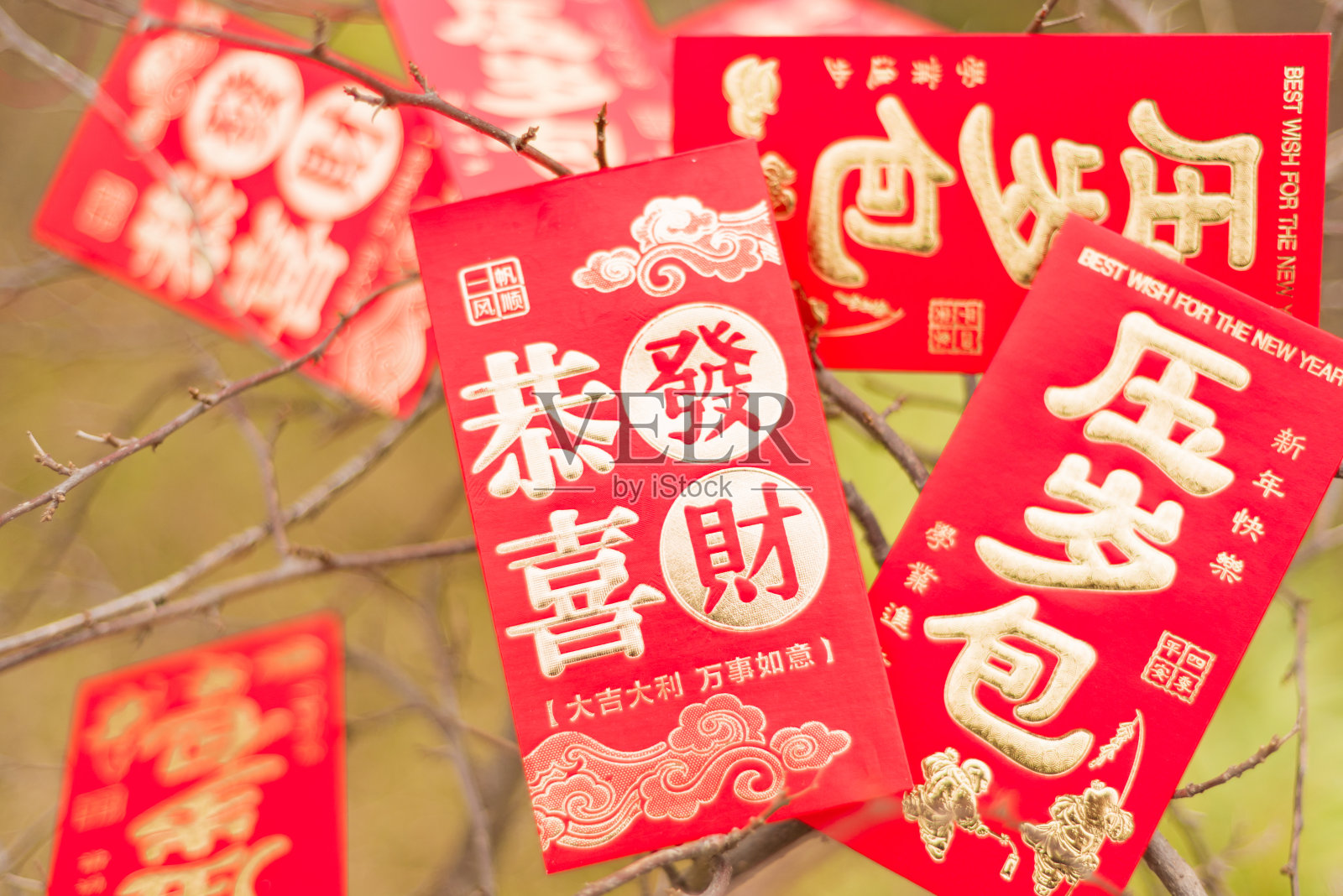树上挂着许多中国新年的红包照片摄影图片