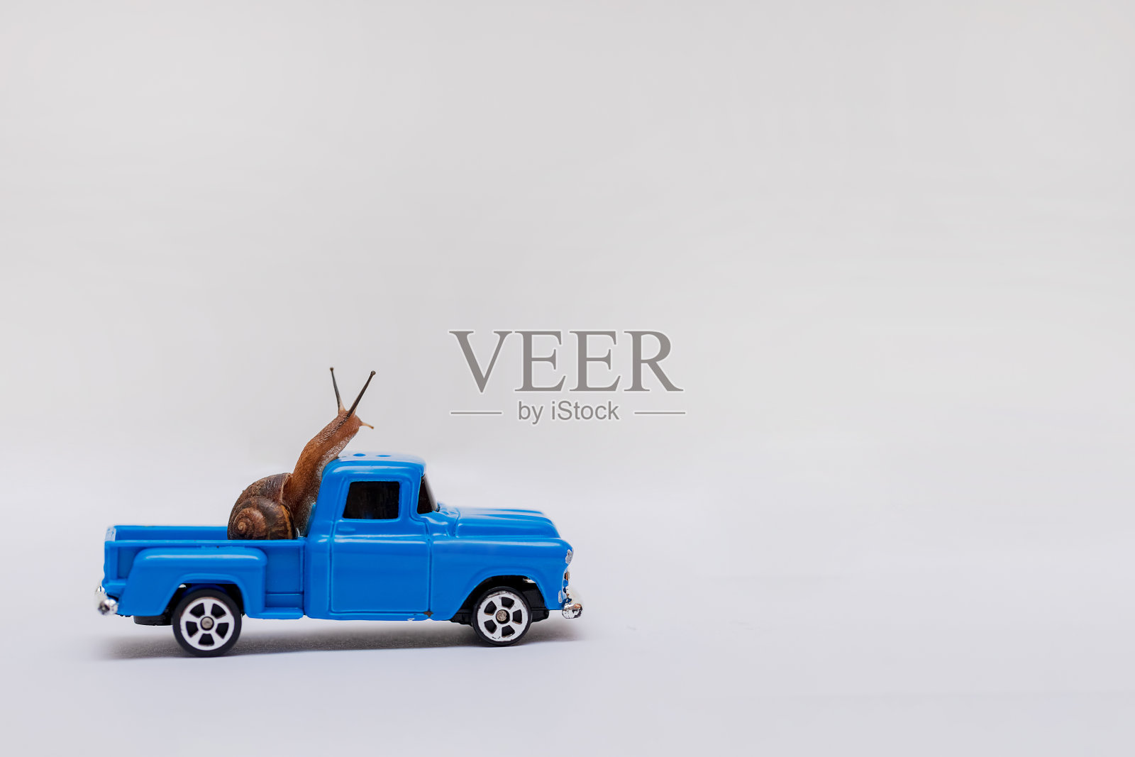 在亮色背景下，一只蜗牛在一辆蓝色汽车上。小卡车里的蛤蜊，动物。宏。副本的空间。照片摄影图片