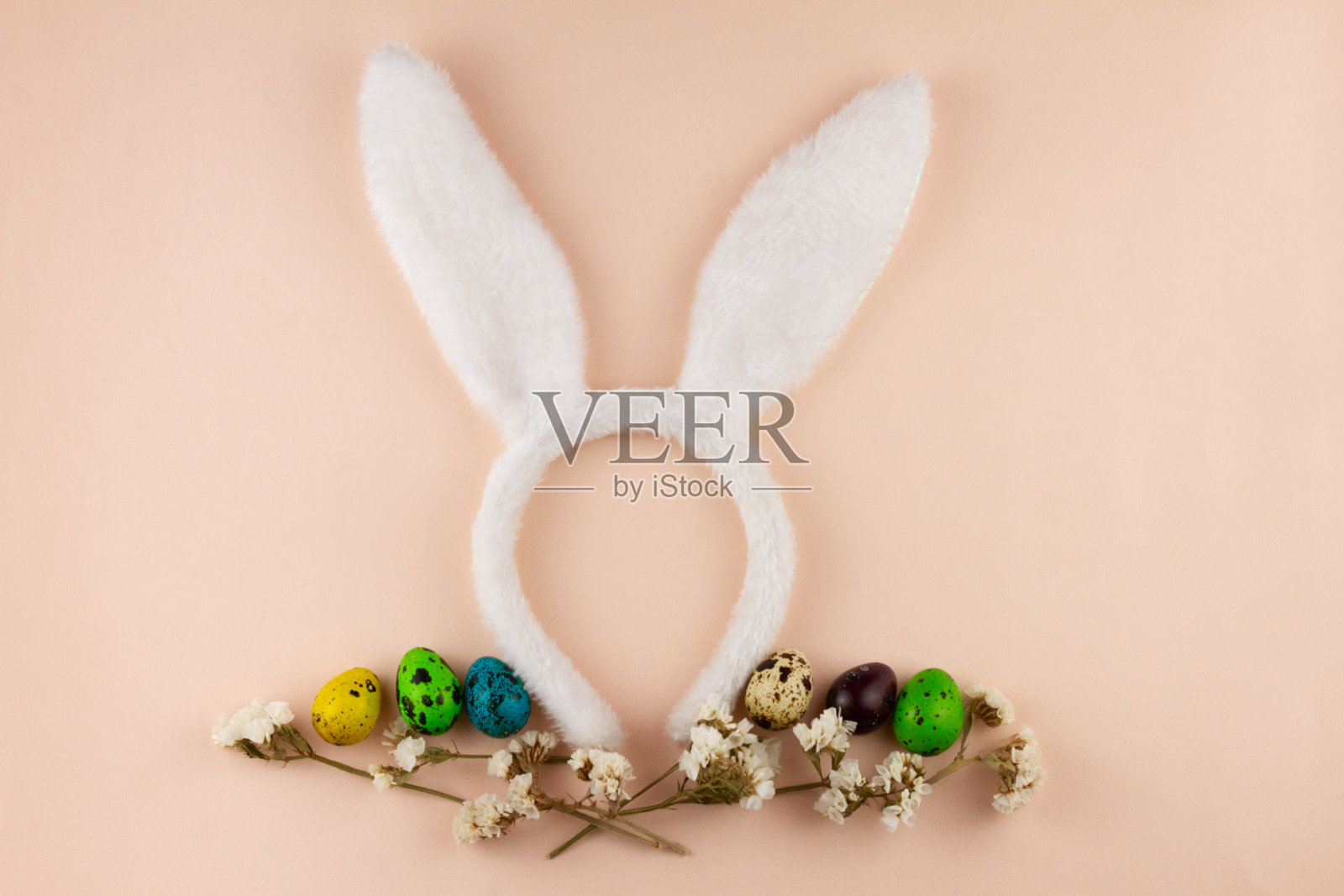 白色复活节兔子耳朵米色粉彩背景与白色花朵和绘制鹌鹑蛋俯视图，概念的宗教春季假期复活节。照片摄影图片