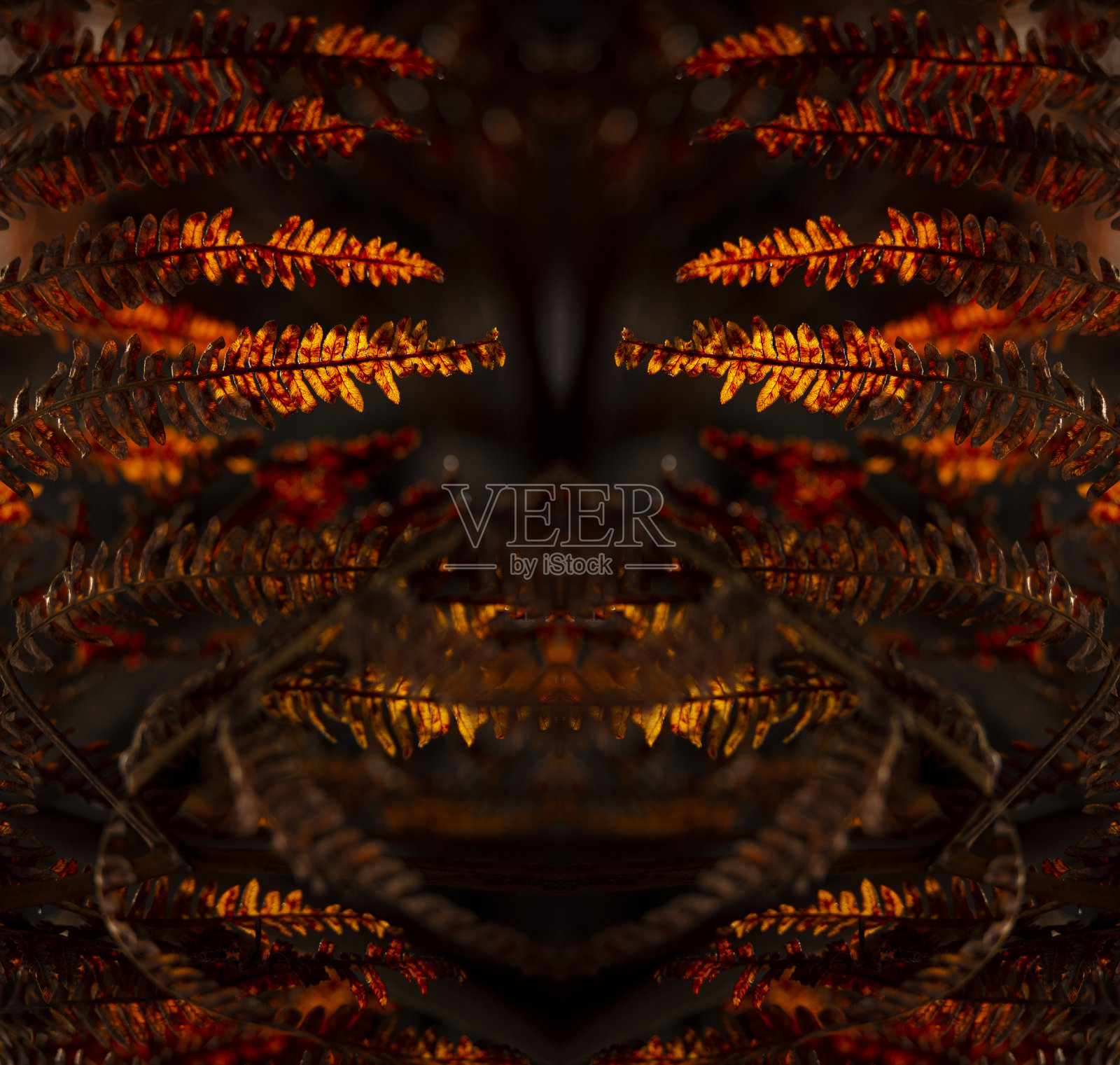 迷幻的雨林面孔，对称的万花筒镜，抽象的背景。照片摄影图片