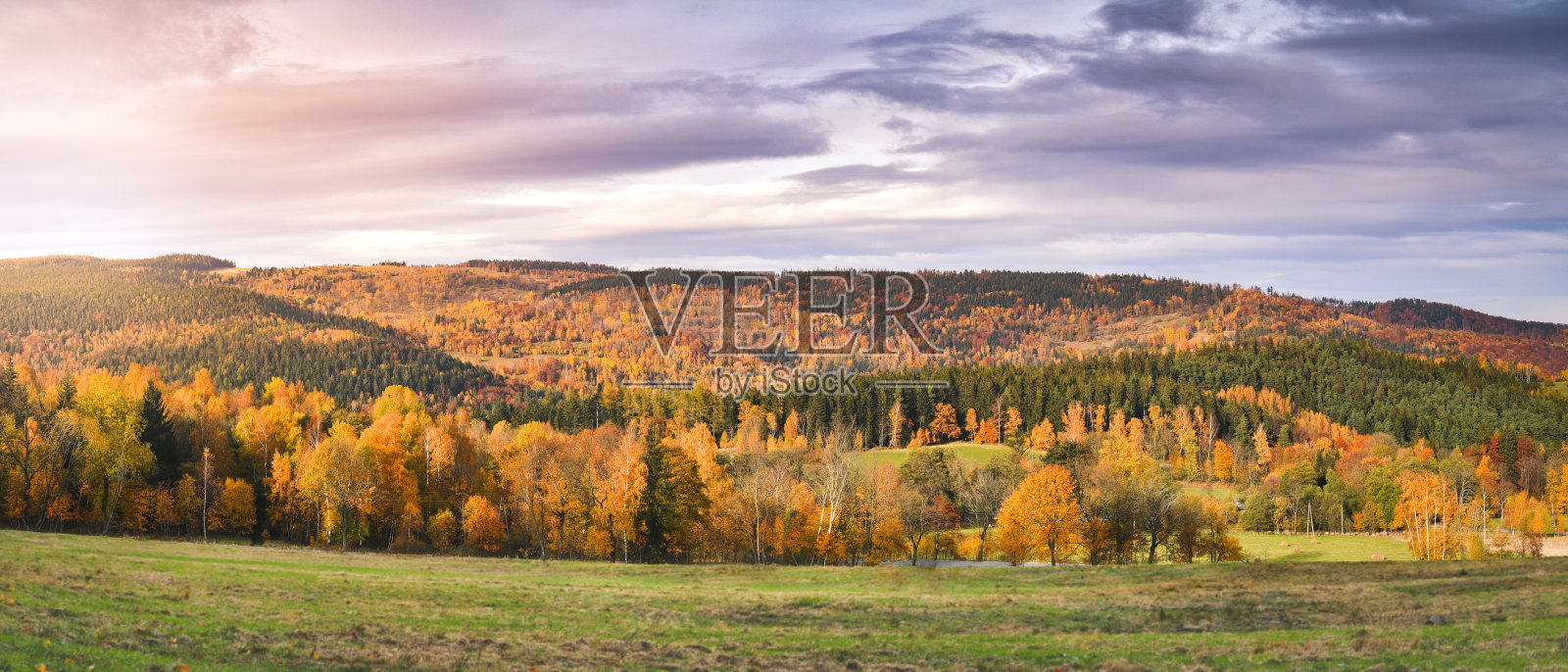 秋天的森林五彩斑斓，山峦全景。照片摄影图片
