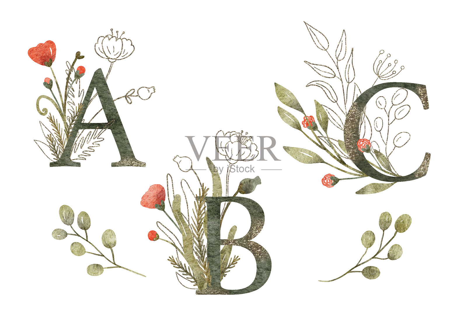 水彩花卉安排与字母A, B和C孤立在白色插画图片素材