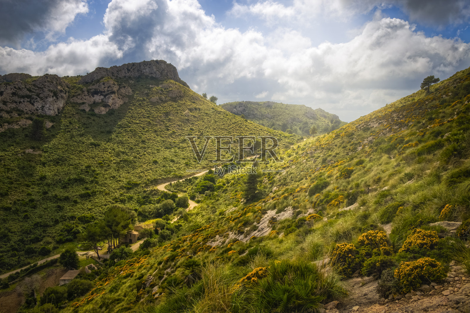 巴利阿里群岛马略卡岛/西班牙阿尔塔山脉(塞雷斯·德·勒凡特-勒凡特半岛自然公园)照片摄影图片