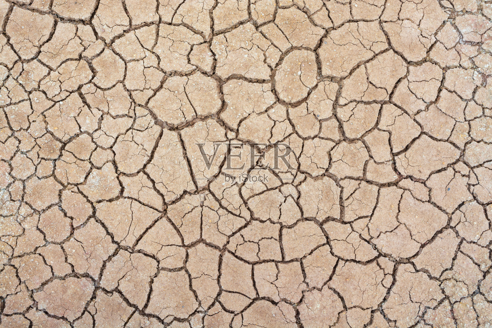 土壤干旱裂缝纹理白色背景设计照片摄影图片