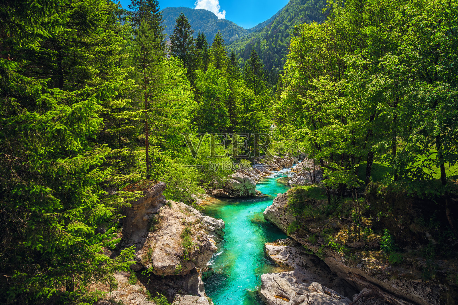 美丽的索卡河和森林峡谷，Bovec，斯洛文尼亚照片摄影图片