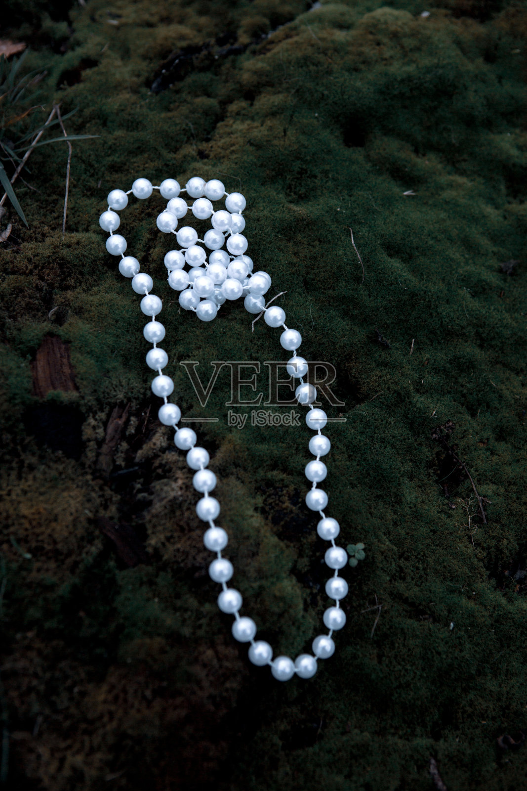 白色珍珠项链的特写在绿色苔藓户外照片摄影图片