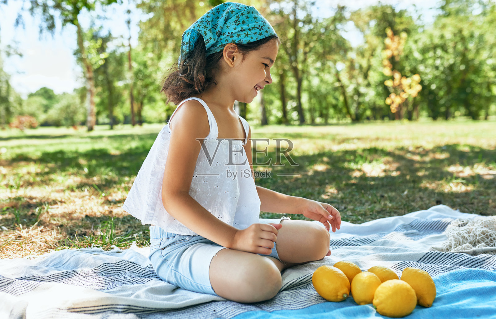 在一个阳光明媚的日子里，快乐的小女孩坐在野餐毯上玩耍，和家人一起数着收获的柠檬。孩子和家人一起在公园里度过时光。照片摄影图片