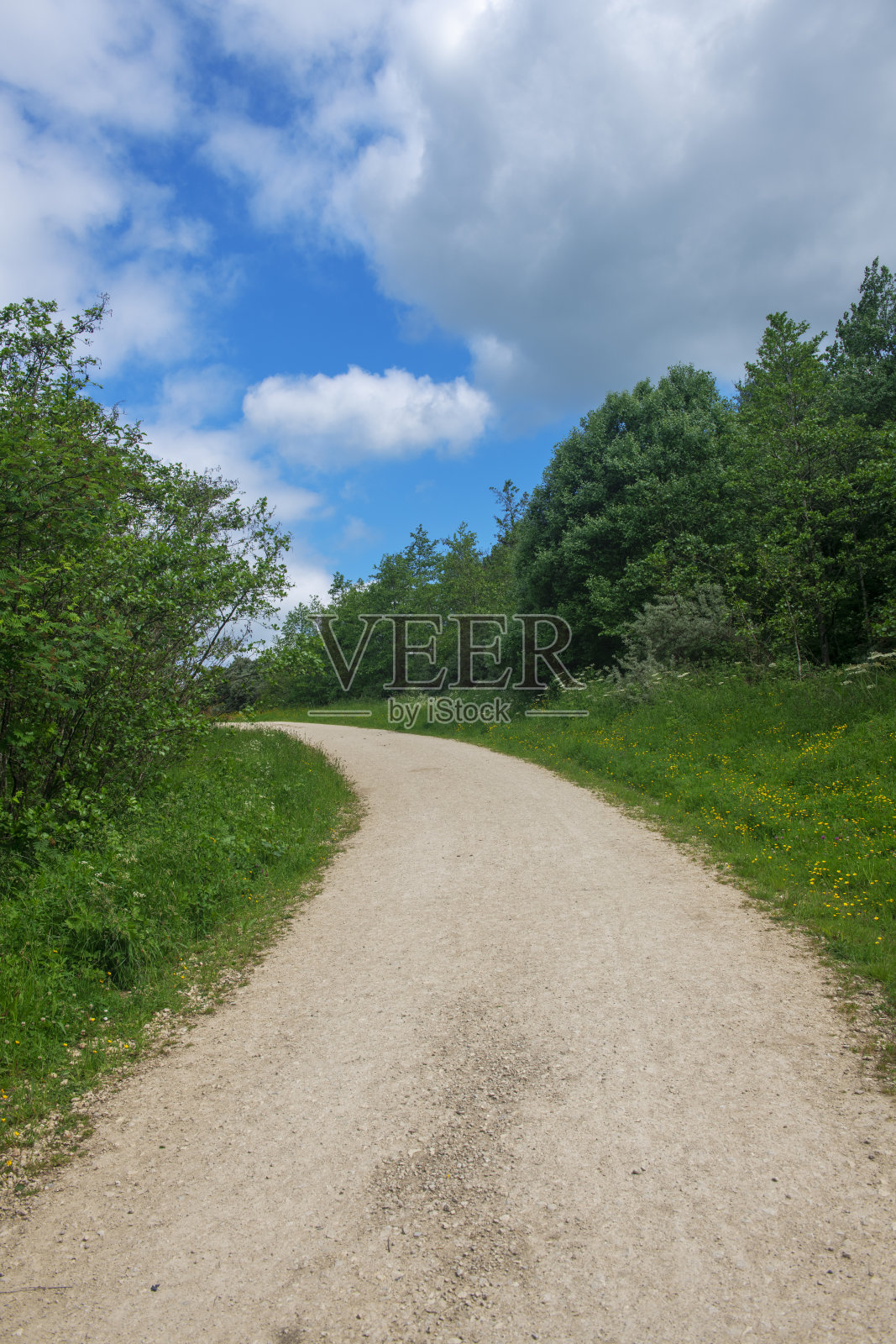 一条林地小径蜿蜒上坡，在英国诺丁汉郡的自然公园附近。照片摄影图片