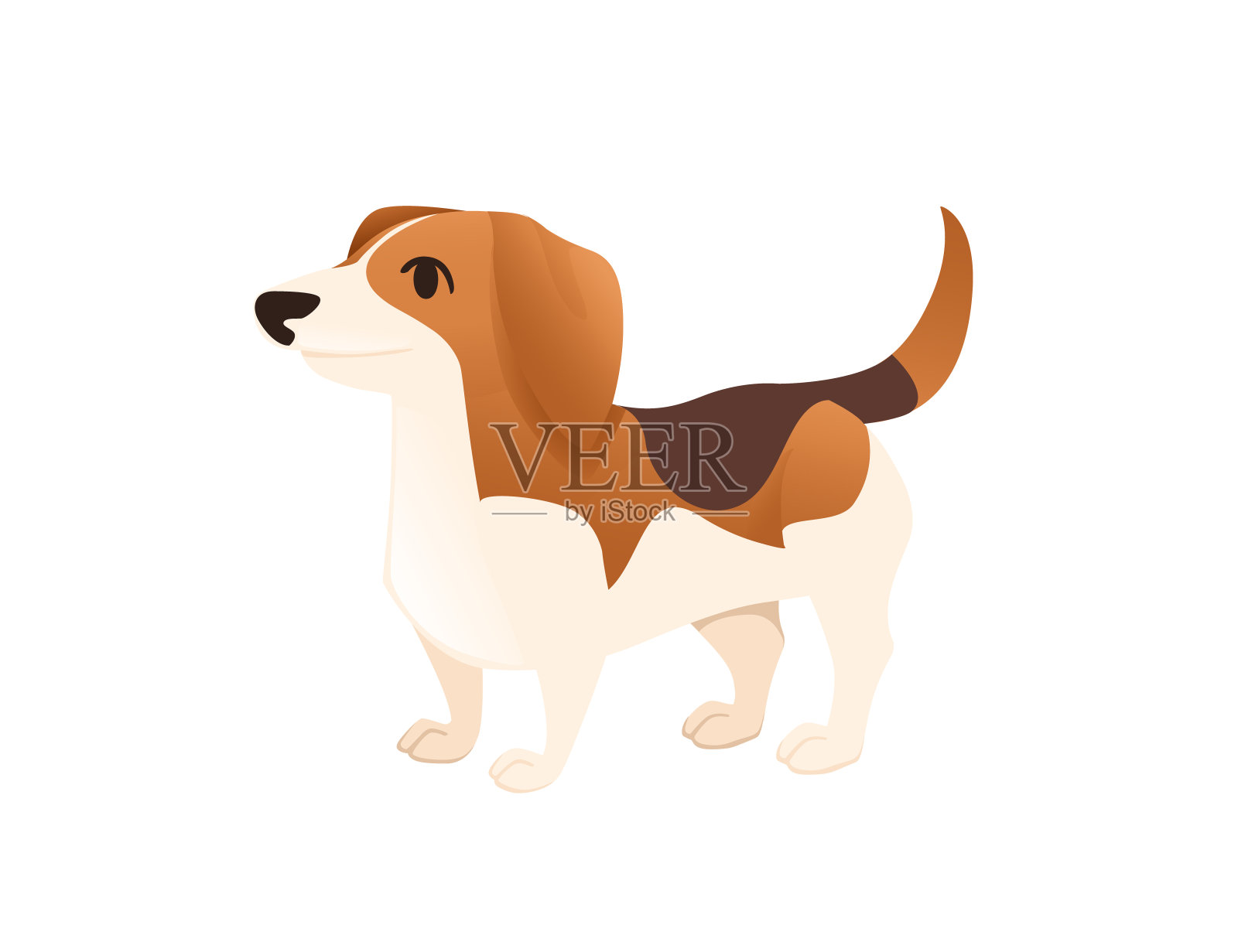 可爱的家犬比格犬品种卡通动物设计平面矢量插图设计元素图片
