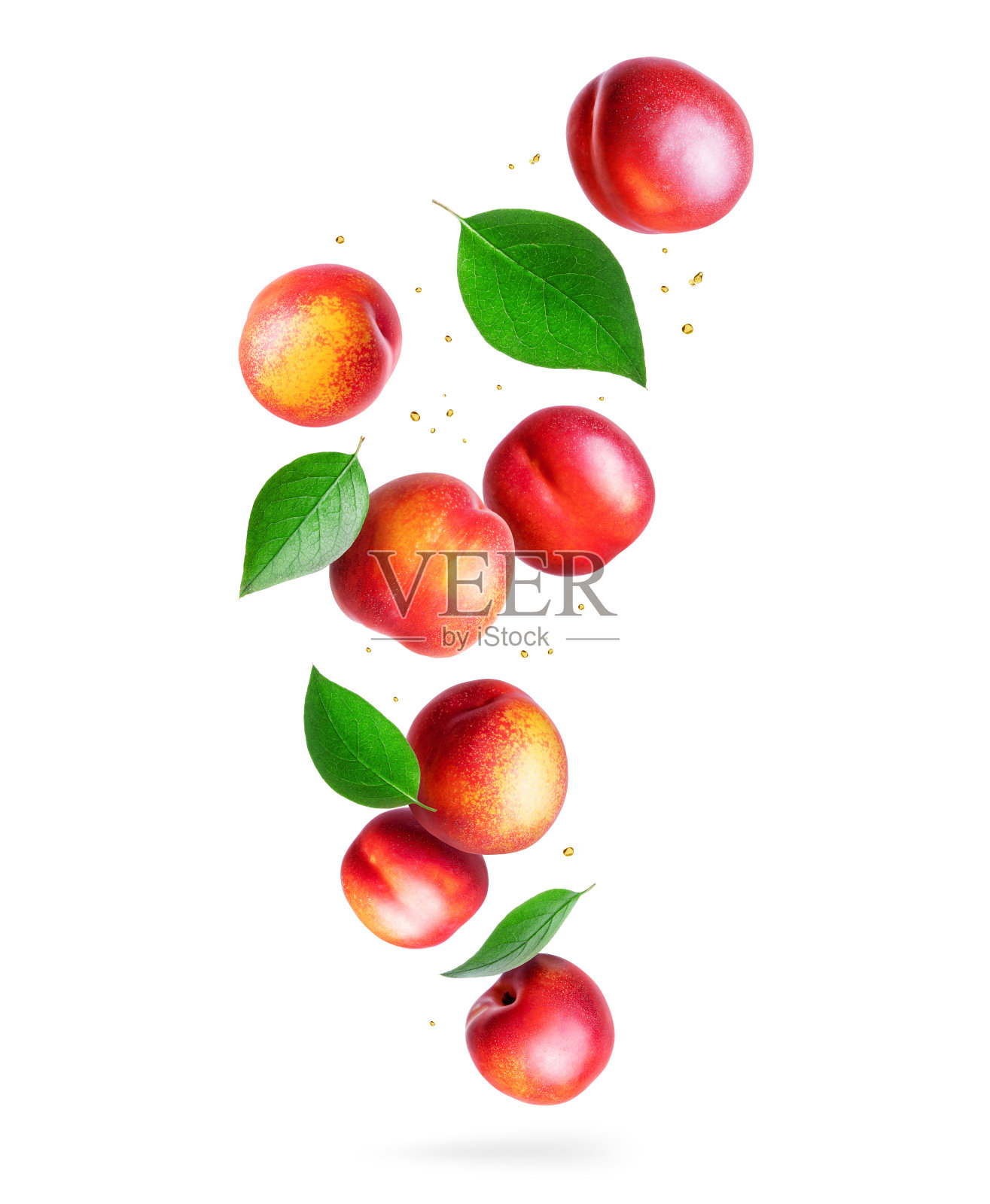 多汁的油桃，白色背景上有绿色的叶子插画图片素材