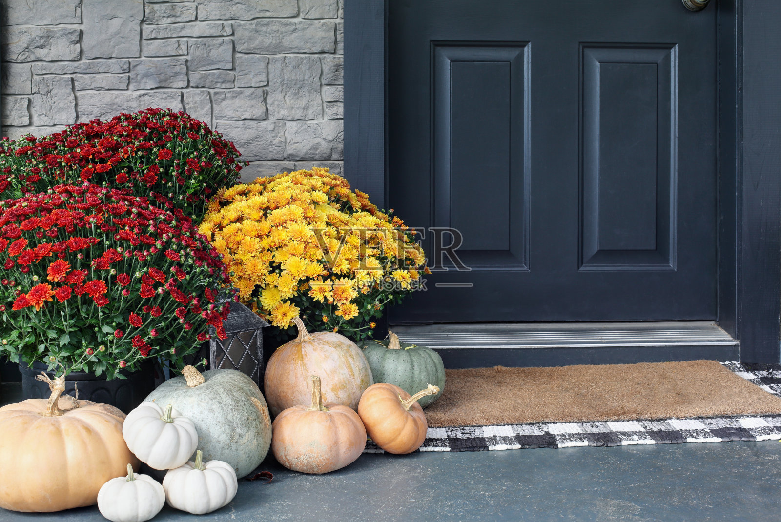 传家宝白色，橙色和灰色的南瓜和五颜六色的菊花坐在前门照片摄影图片