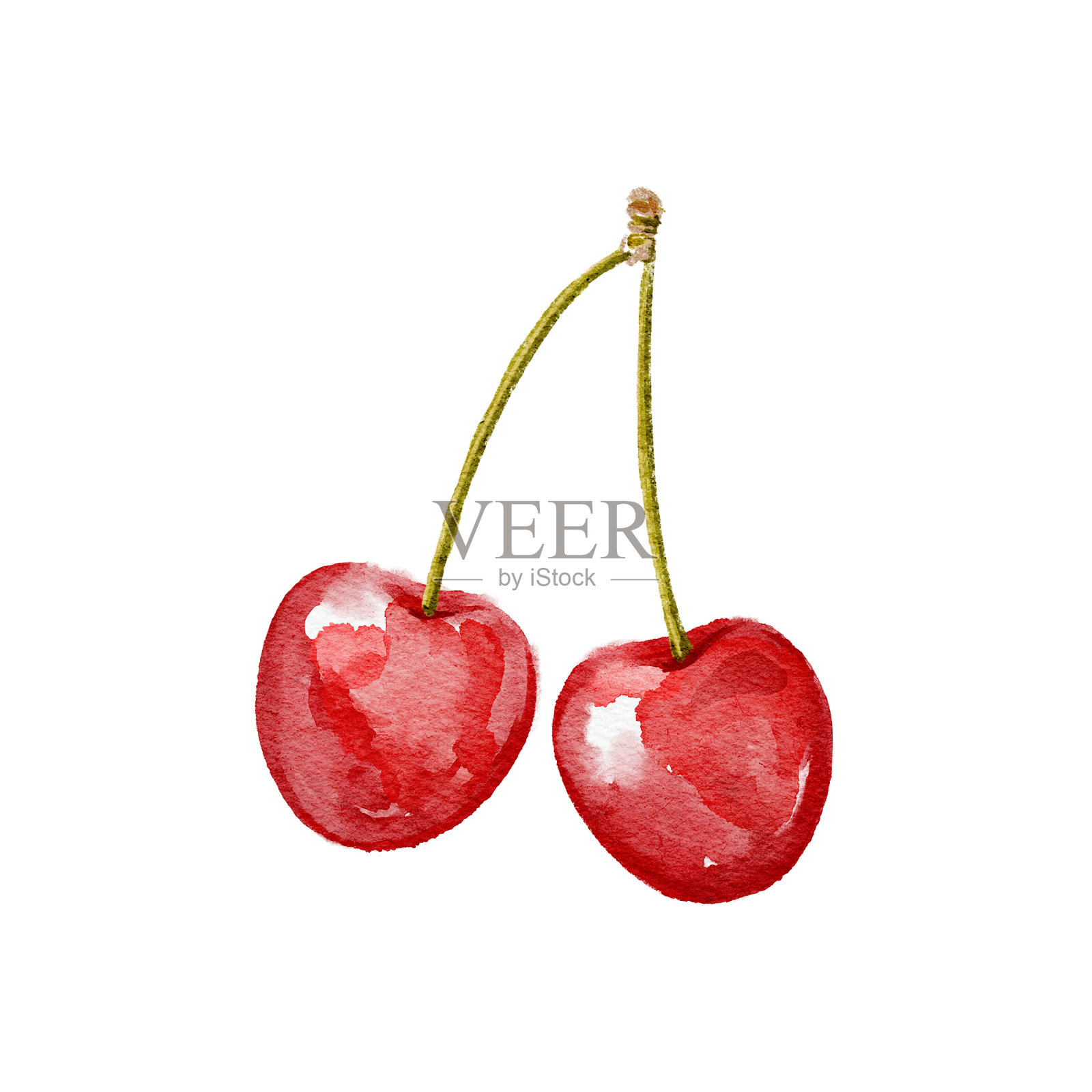 水彩插图与两个红浆果樱桃插画图片素材