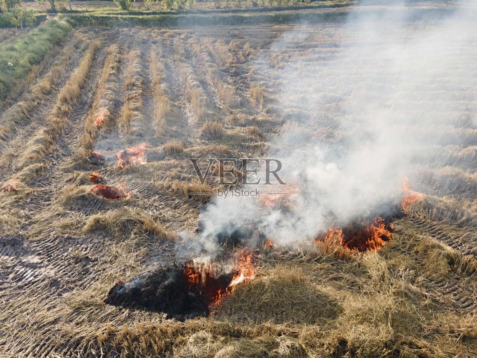 残茬燃烧或作物燃烧的鸟瞰图。收割后燃烧干草。无人机飞行拍摄照片摄影图片