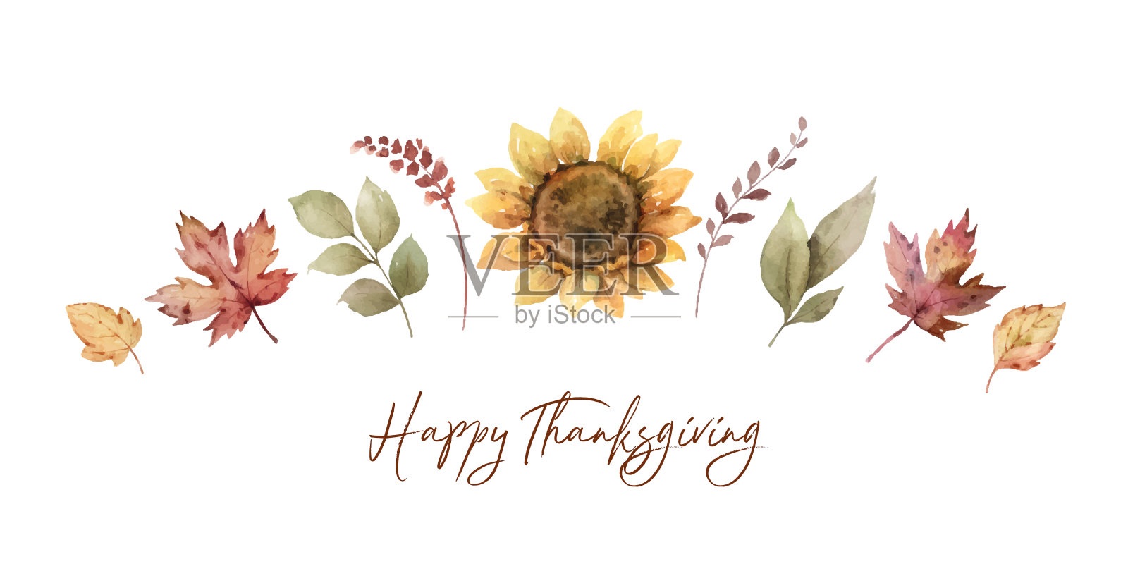 水彩向量秋天旗帜与向日葵，树叶和树枝孤立在白色的背景。感恩节插图为您的设计。插画图片素材