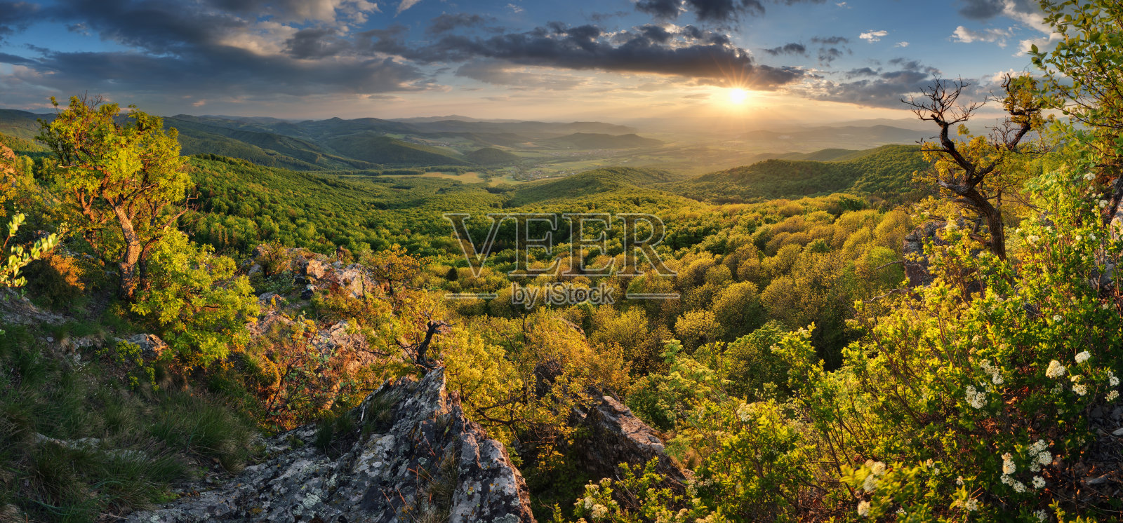 斯洛伐克扎诺夫山顶的绿色森林景观照片摄影图片
