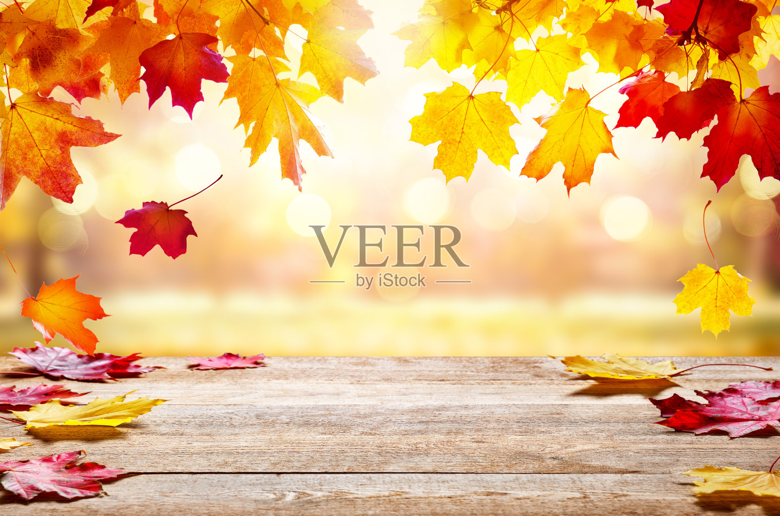 秋天的金色抽象背景与散景光和多彩的叶子。照片摄影图片