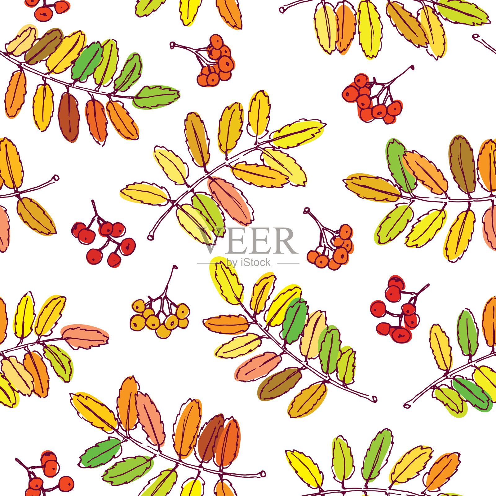 多彩的轮廓花楸叶和浆果在白色的背景。无缝的矢量模式插画图片素材