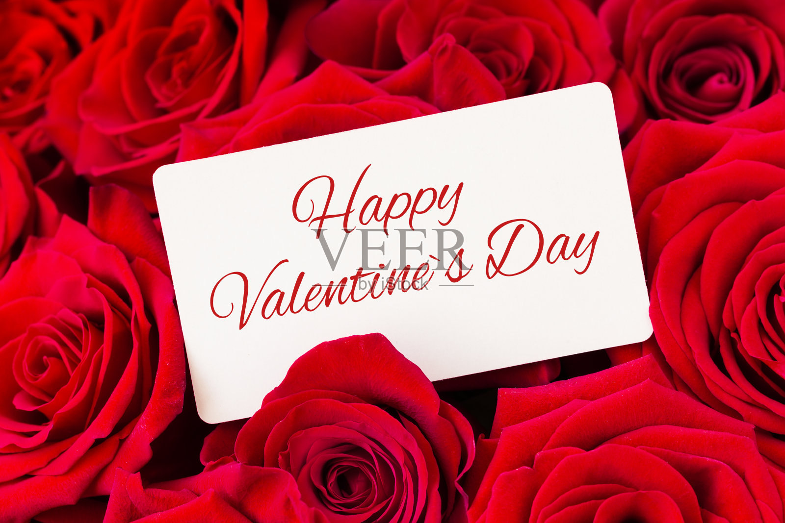 花束红玫瑰和空白礼品卡，情人节背景。照片摄影图片