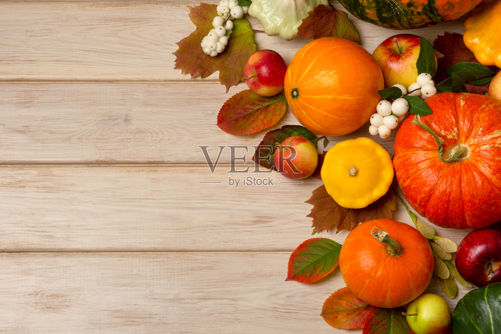 秋天的背景与南瓜，雪莓，南瓜，复制空间照片摄影图片
