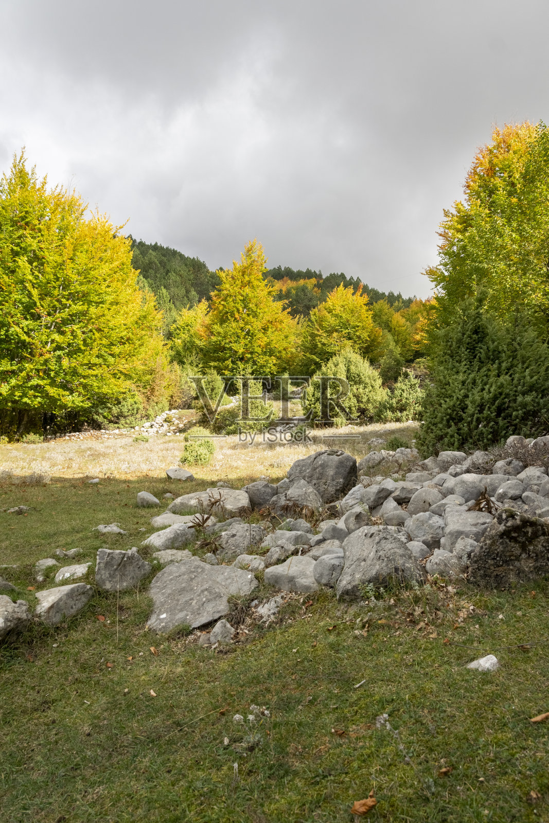 阿尔巴尼亚的秋天。五彩缤纷的秋天森林景观照片摄影图片