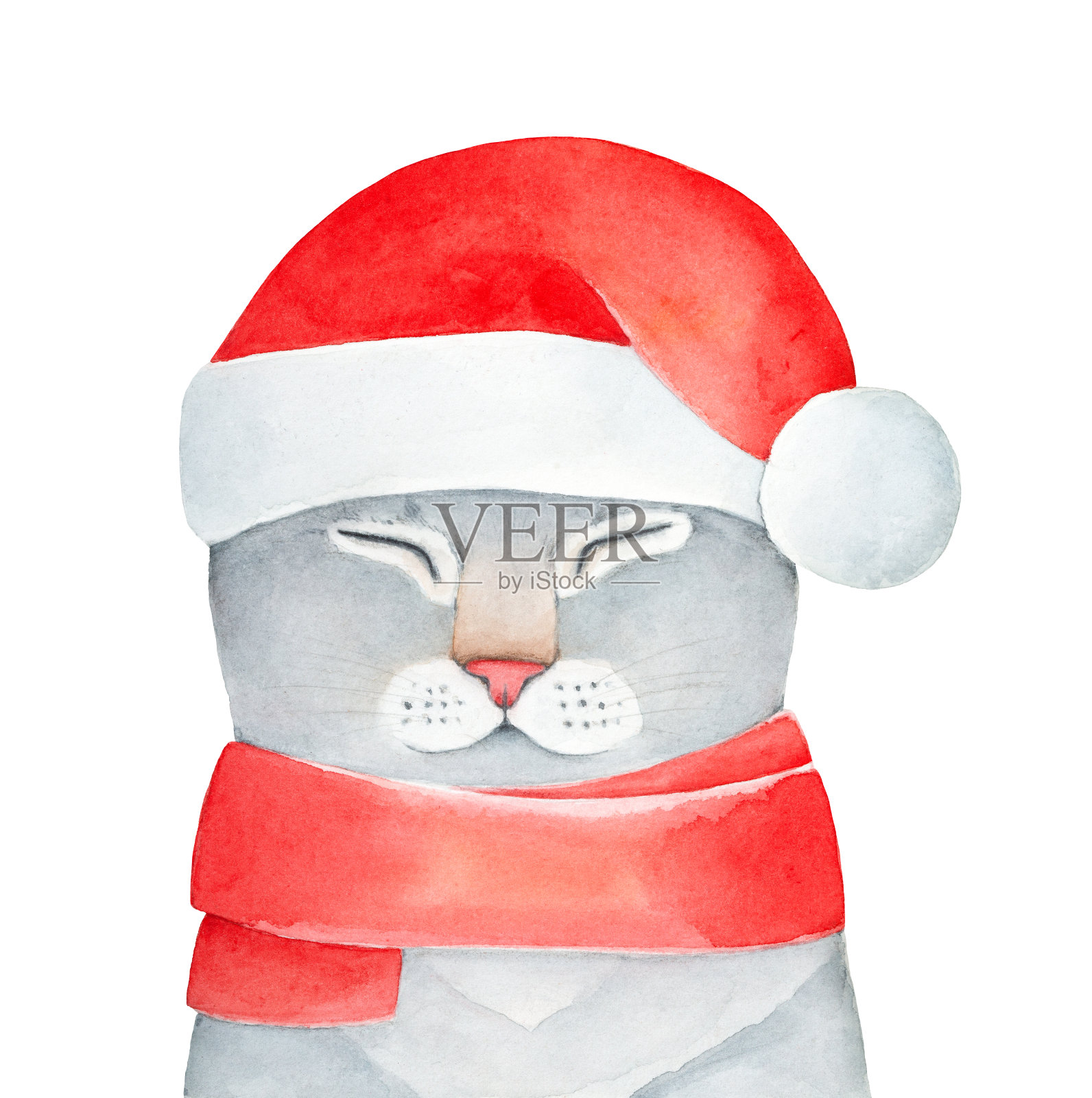 小圣诞猫戴着圣诞老人的帽子和温暖的针织围巾的水彩插图。插画图片素材
