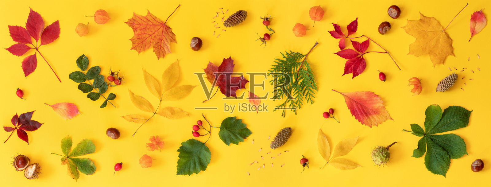 秋季装饰由树叶，浆果和球果黄色背景。旗帜的秋天作文。俯视图，平铺照片摄影图片