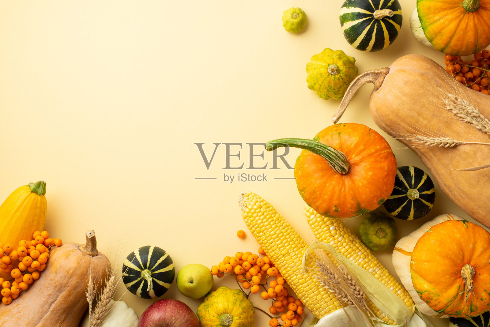 秋收的概念。俯视照片的蔬菜南瓜葫芦馅饼玉米西葫芦梨花楸浆果和小麦在孤立的米色背景与空白照片摄影图片