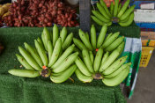 一串串新鲜香蕉水果在市场上出售摄影图片