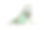 绿色鬣蜥(鬣蜥)孤立在白色素材图片