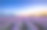 薰衣草田的日出和壮观的云彩素材图片
