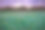 紫云和松果花，切诺基草原，阿肯色州素材图片