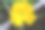 丝瓜黄花，果实小素材图片