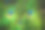 色彩斑斓的孔雀羽毛素材图片